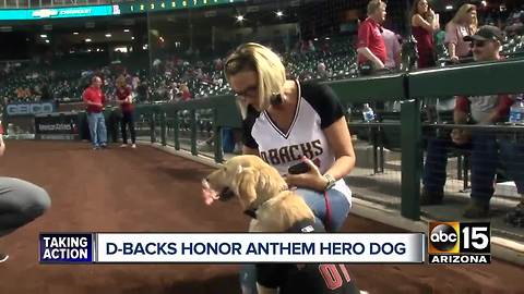 Top stories: Phoenix firefighter found dead; Rain chances for the Valley; Hero dog honored at baseball game