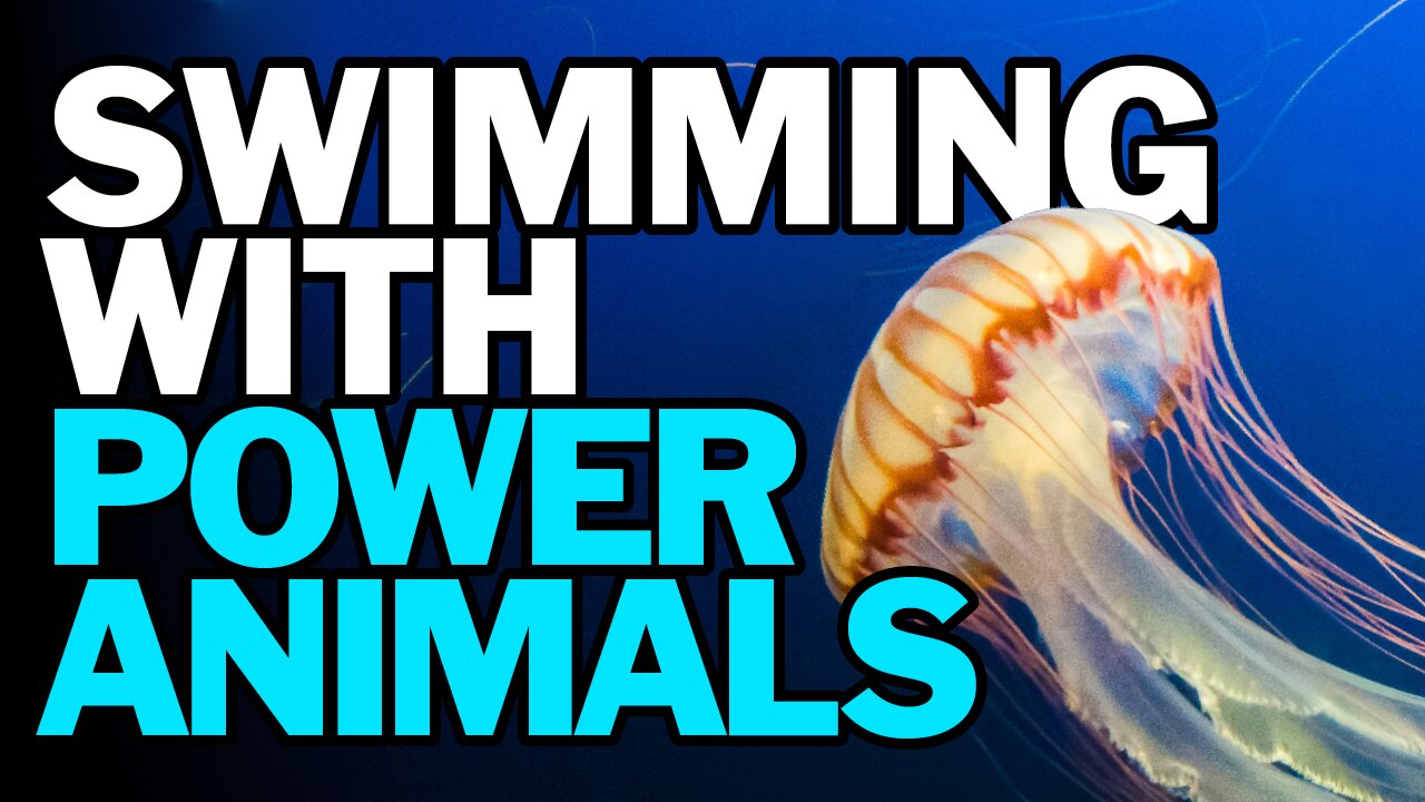 Swimming With Power Animals