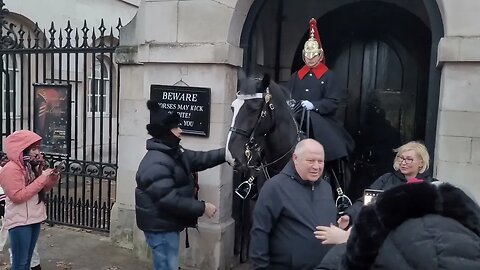 Disrespectful tourist manhandled the horse the kings guard has had enough #thekingsguard