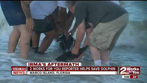 2Works For You reporter helps save dolphin