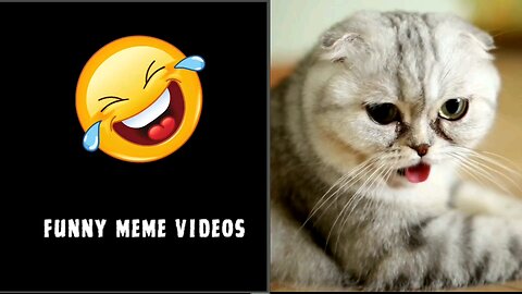 Funny Lyrics | Funny Memes Part 3