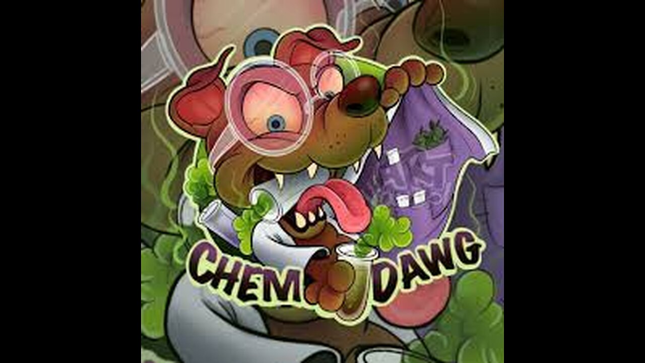 Talking About ChemDog - History, STONER Nomenclature, & PROGRESSION of The Strain - Dog vs Dawg