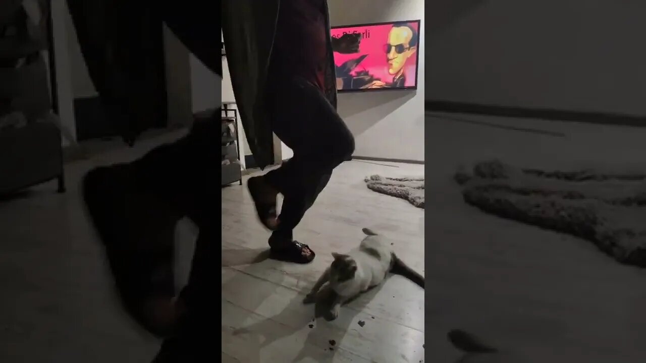caTango