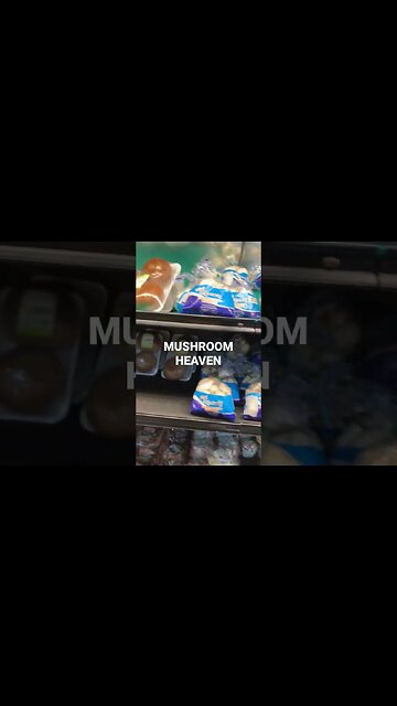 Mushroom 🍄 heaven, so many varieties types of delicious healthy mushrooms