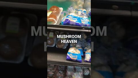 Mushroom 🍄 heaven, so many varieties types of delicious healthy mushrooms