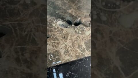 Most amazing videos(1)