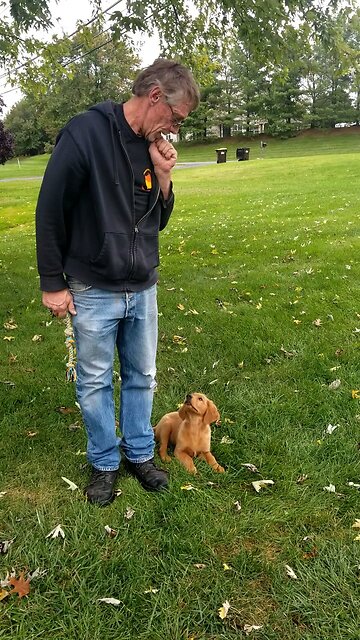 Class One for Mel today. Introduction of the verbal cues.