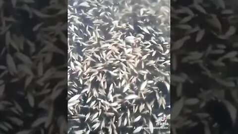 How is this possible?