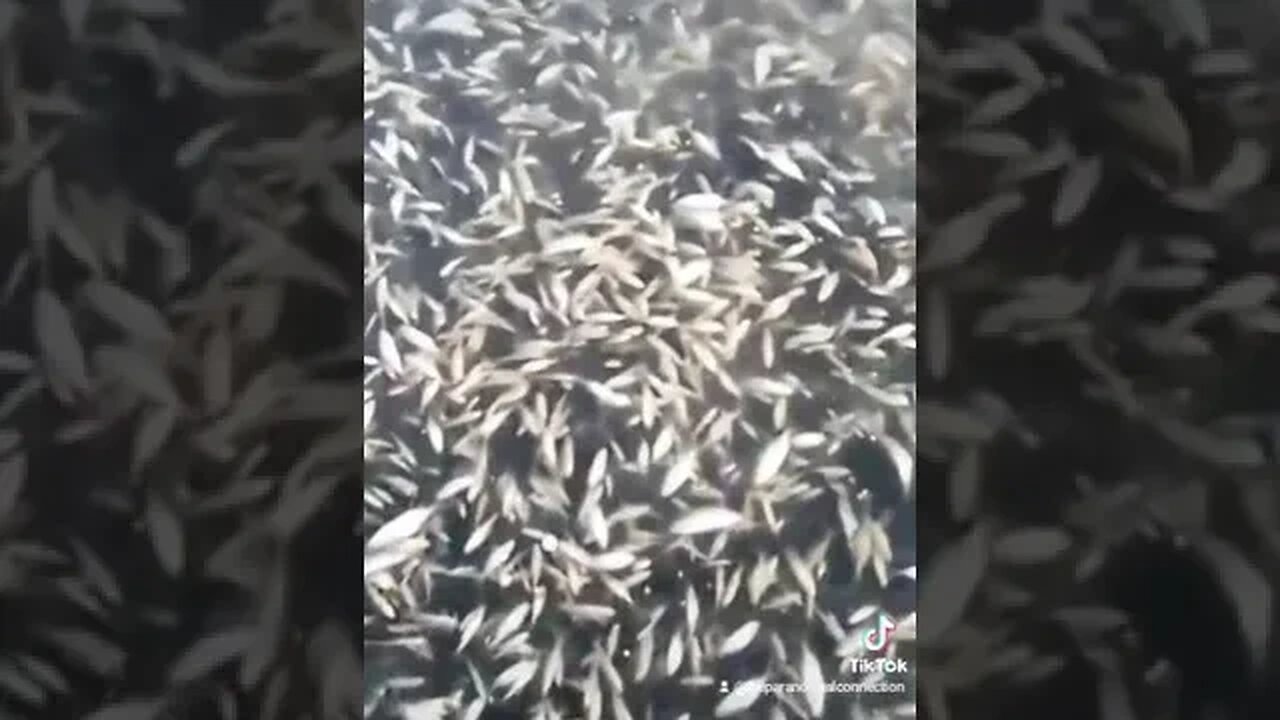 How is this possible?