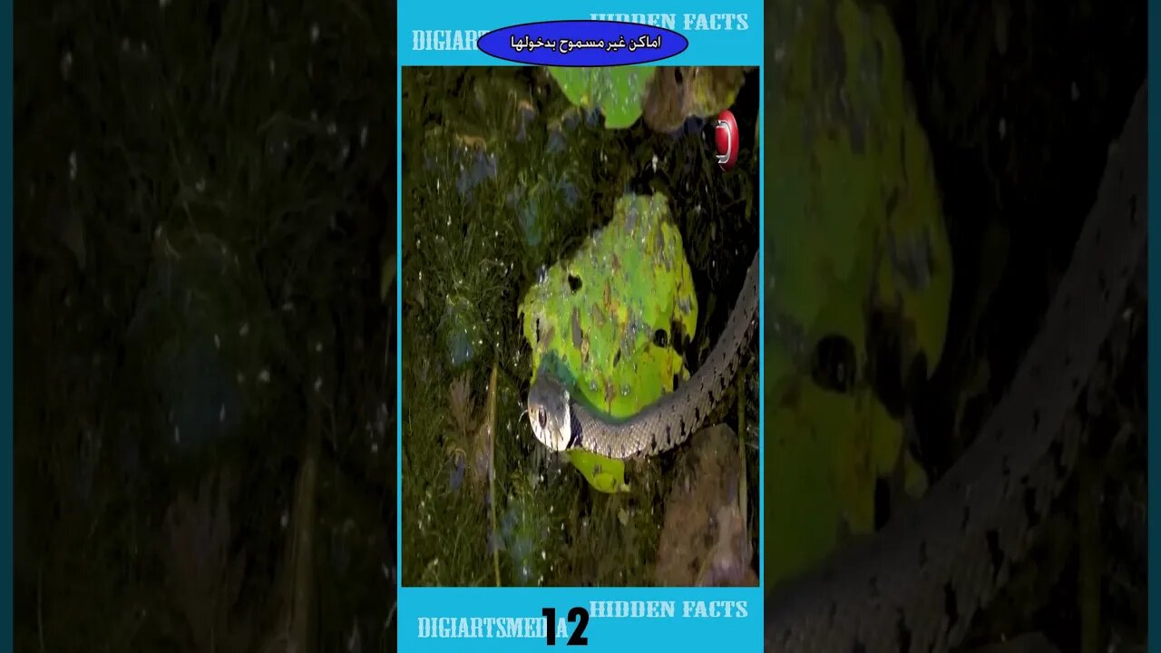 اماكن لا يسمح بدخولها في العالم 2023 - Places not allowed to enter in the world 2023