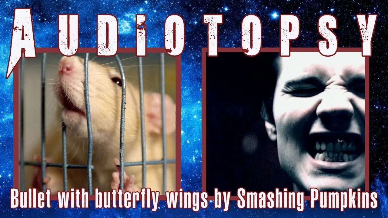 Christians React: "Bullet With Butterfly Wings" by Smashing Pumpkins