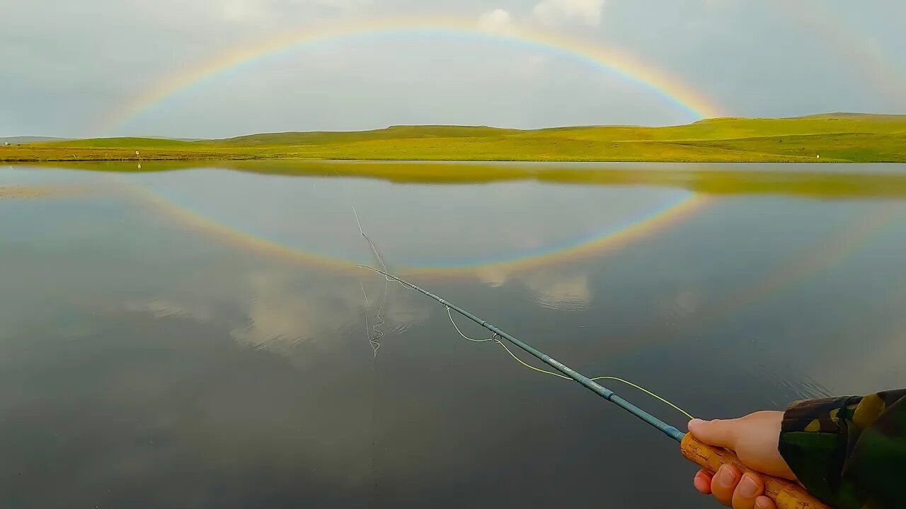 Rainbows and trout fishing.