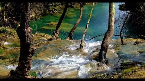 Finding Serenity in the Running Water of the Forest: A Relaxing Escape