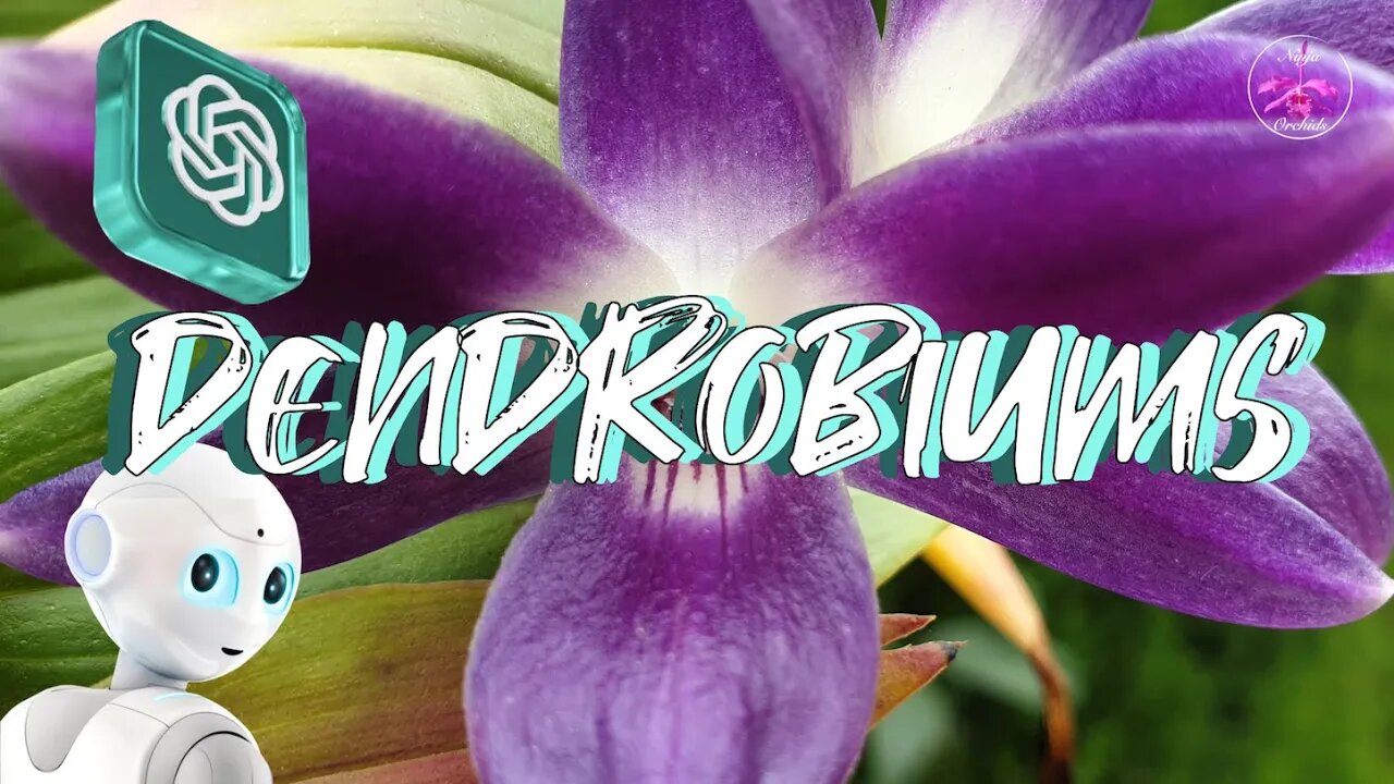 How to CARE for Dendrobium Orchids | ChatGPT4 Results June 2023 #ninjaorchids