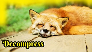 Deep Relaxation. Low Frequency Binaural Beats for Stress Relief