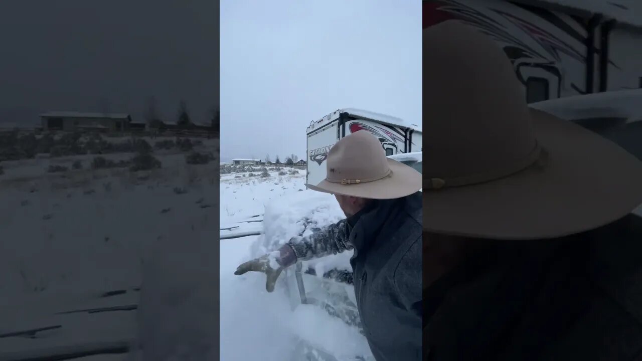 Do THIS in the Cold!