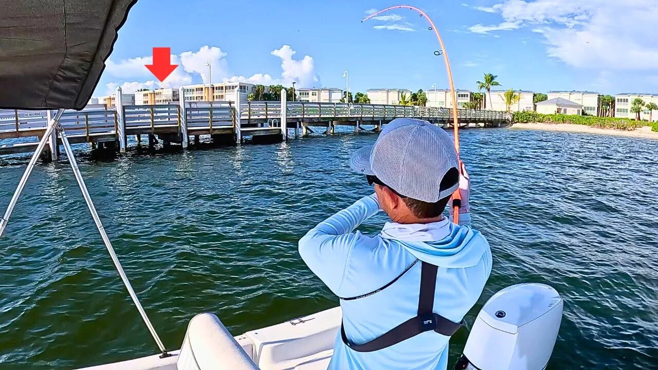 Heavy Structure | Dock Fishing with Live Bait