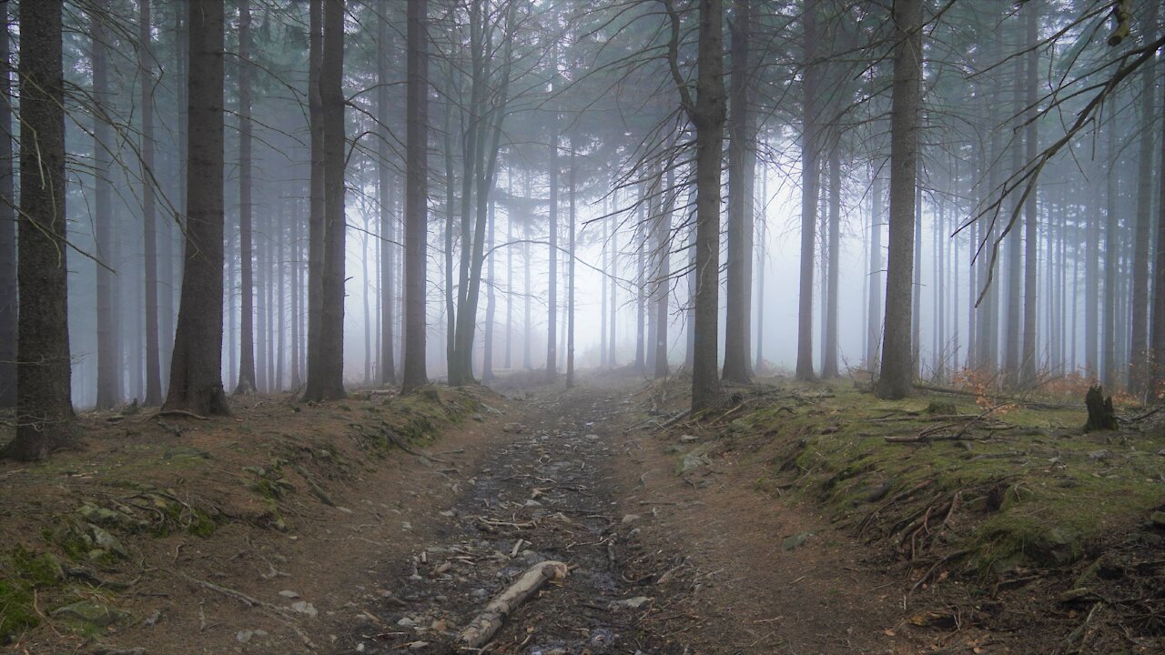 Hiking in Owl Mountains, Poland - April 2021
