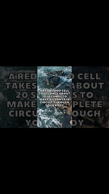 Incredible Random Facts That Will Expand Your Mind! [2023] #shorts #facts #viralshorts #fyp #life