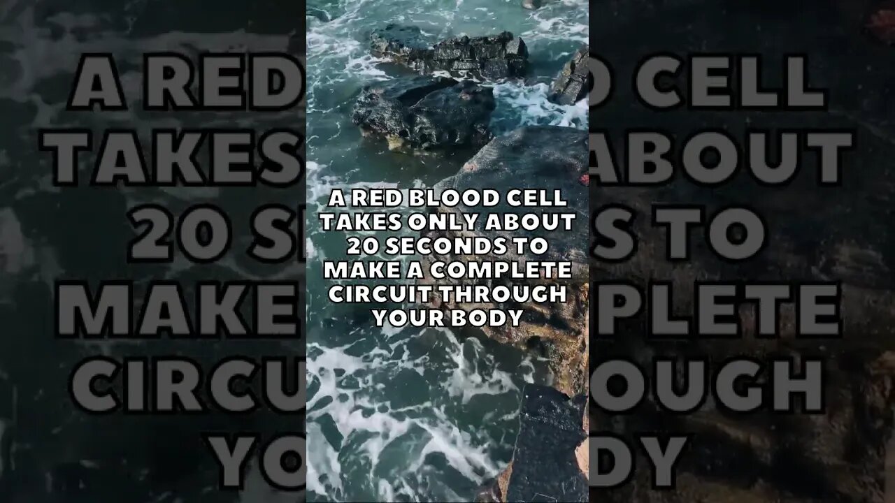 Incredible Random Facts That Will Expand Your Mind! [2023] #shorts #facts #viralshorts #fyp #life