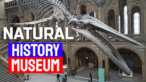 NATURAL HISTORY MUSEUM, LONDON, ENGLAND