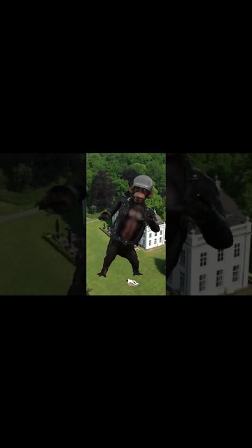 What's Up With This Door #shorts