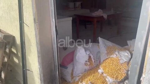Pamje nga tritoli qe iu vendos efektivit te forcave shqiponja