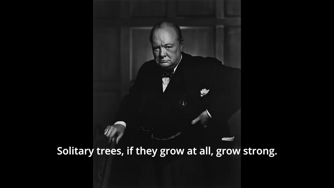 Sir Winston Churchill Quotes - Solitary trees...