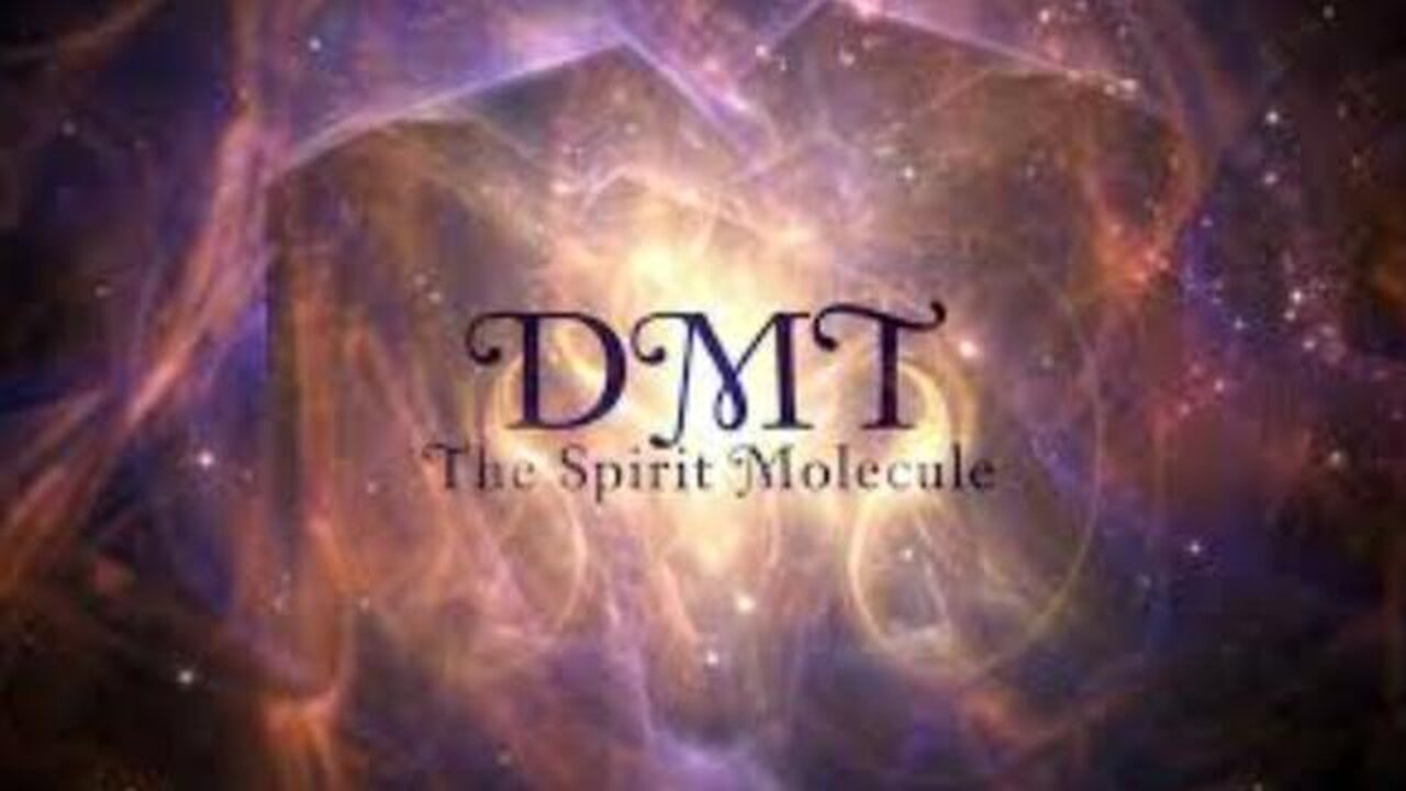 DMT: The Spirit Molecule (2010)