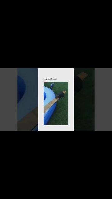 HE SAVED A SQUIRREL!🐿