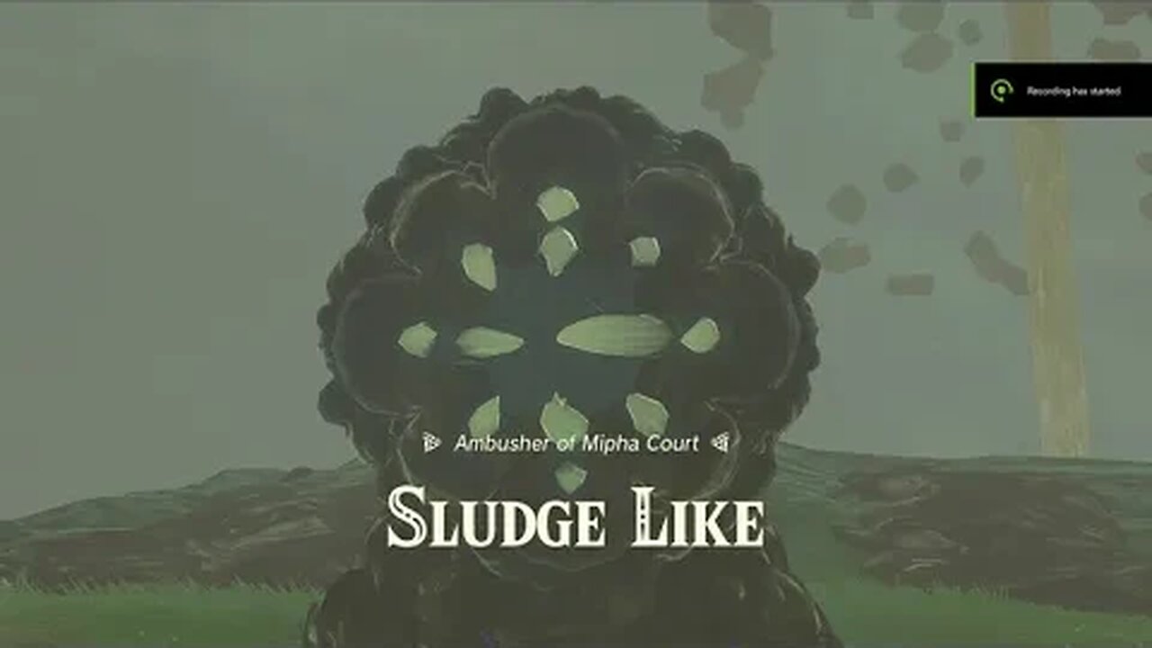 The Legend of Zelda Tears of The Kingdrom Sludge Like Boss Battle