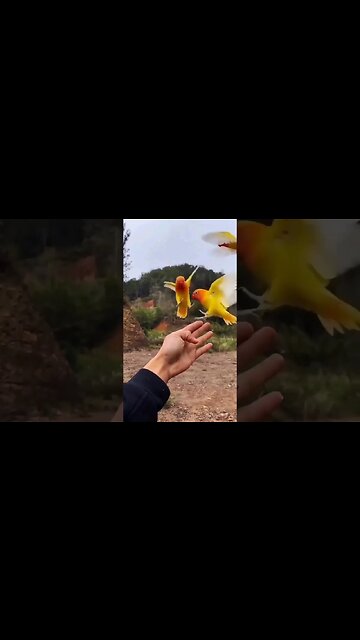 Woow #youtube #whatsapp_status