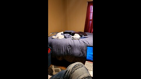 rumble screen test