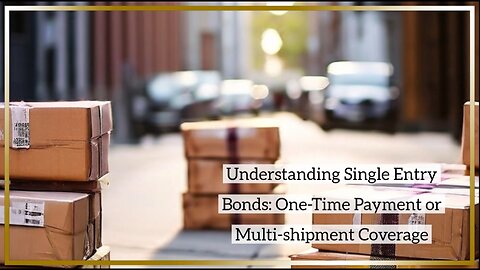 "Navigating Customs Compliance: Insights into Single Entry Bond Functionality"