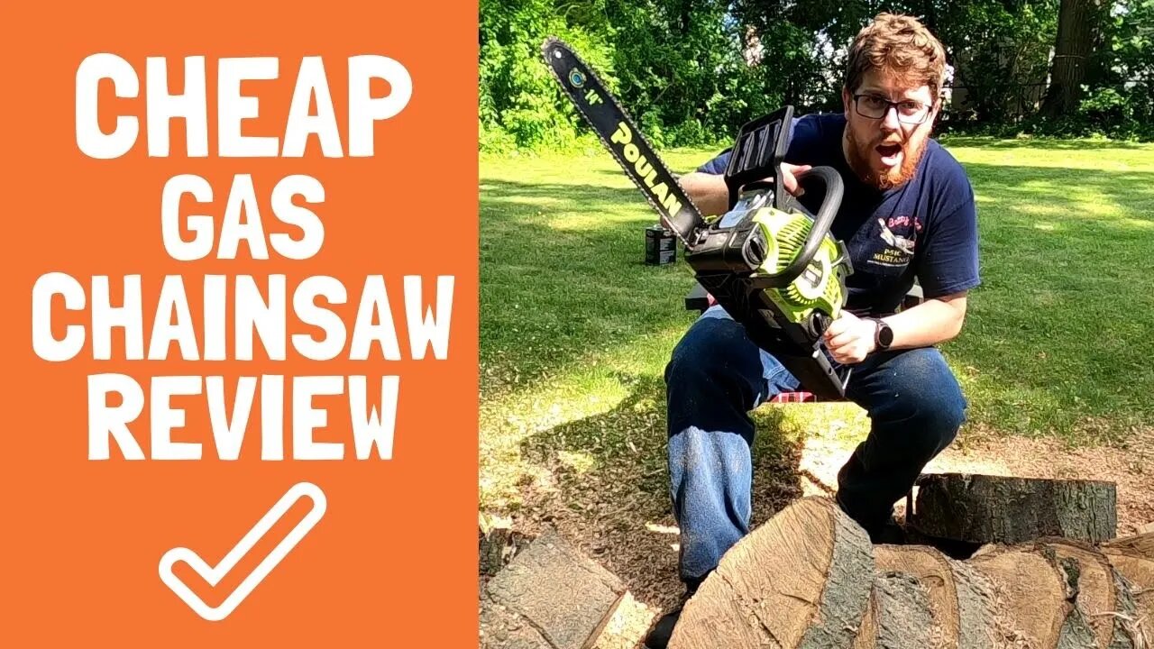 Cheap Amazon Chainsaw??? Testing the Cheapest Gas Powered Poulan PL3314 14" Chain Saw on a tree