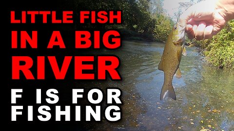 Little Fish in a Big River