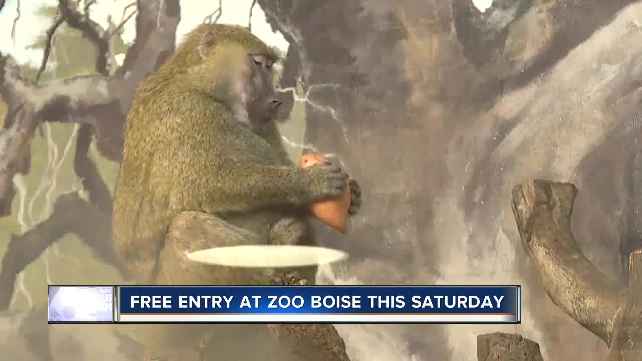 Free admission day at Zoo Boise Saturday