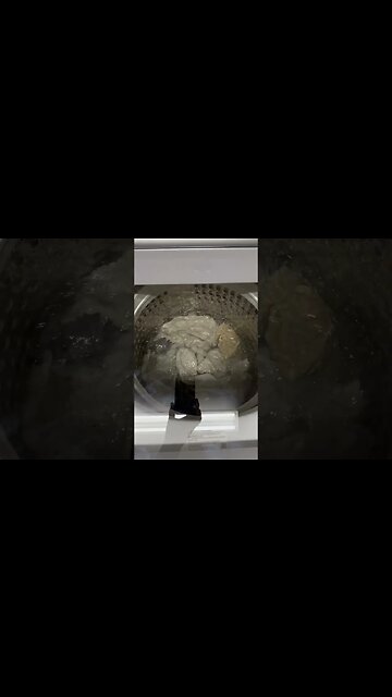 Samsung washer WA50R5200AW/US agitating