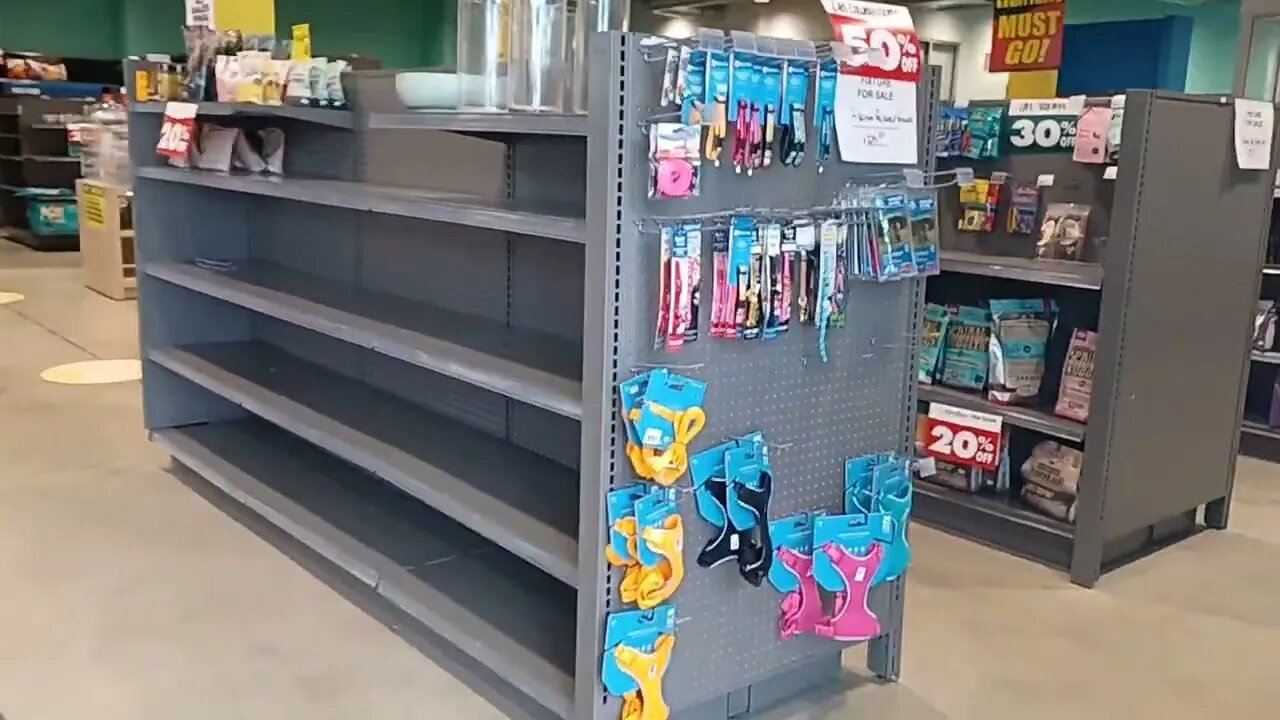 loyal companion in Needham closing for good