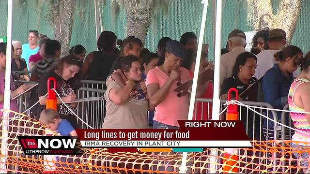 Hurricane Irma SNAP benefits: Long lines to get money for food in Plant City