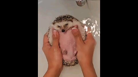 😊