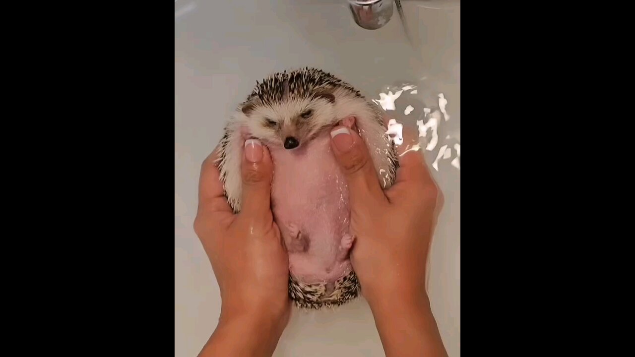 😊