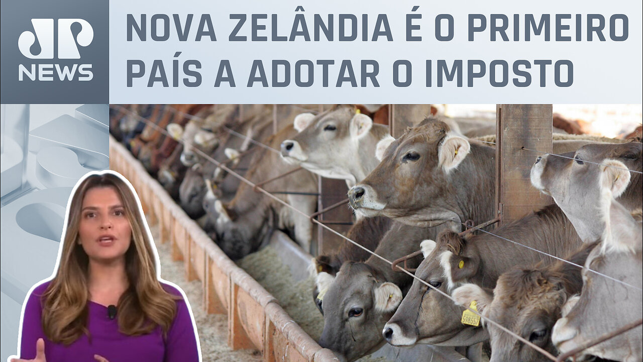 Kellen Severo: Taxa sobre emissões de gases animais começa em 2025