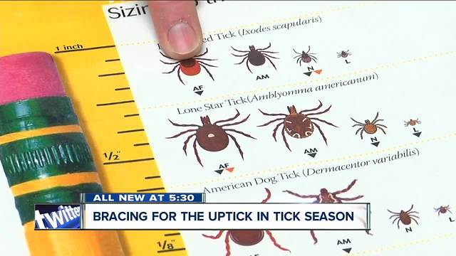 Western New York bracing for an uptick in ticks