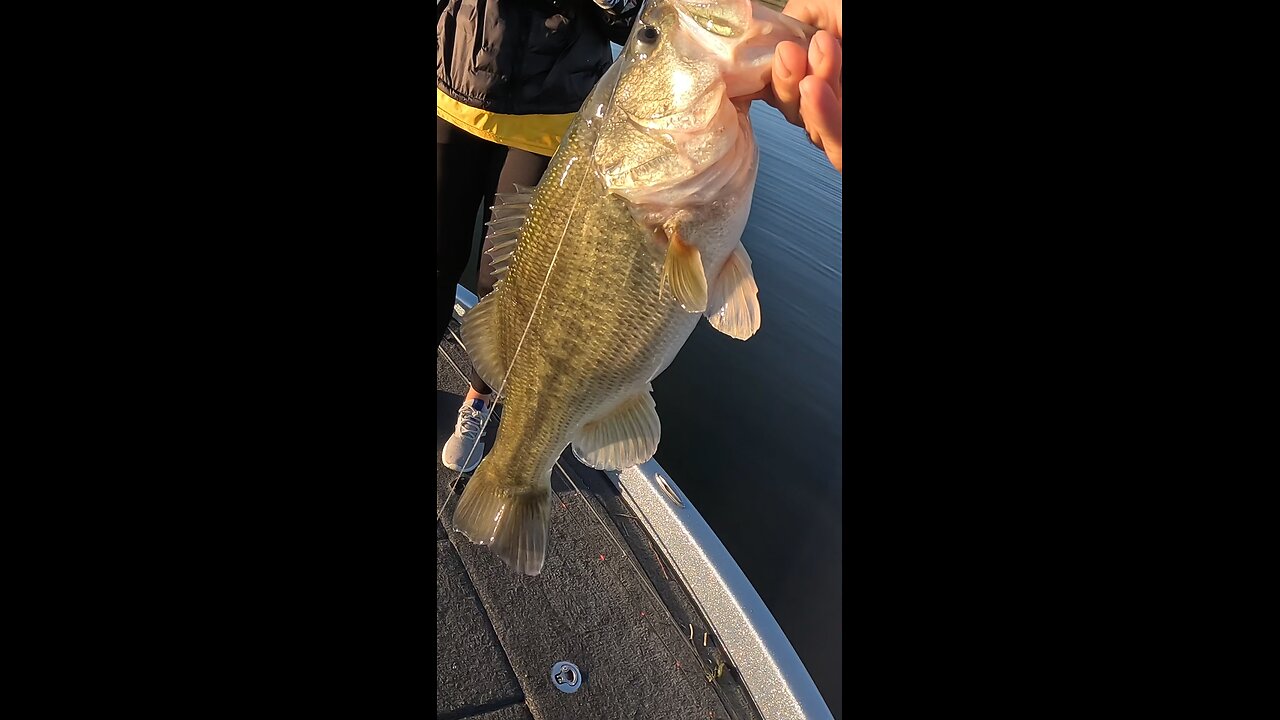 1st fish of the trip to Bois D’Arc lake