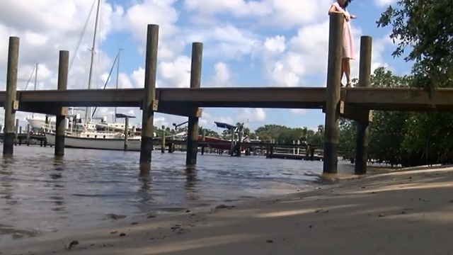 Large algae bloom spotted on Lake Okeechobee