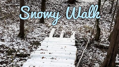 Snowy Walk to the Pond | Christmas | ASMR | Tiny House