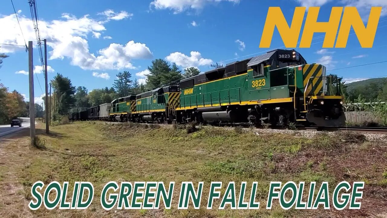 Solid Green Power in Fall Foliage