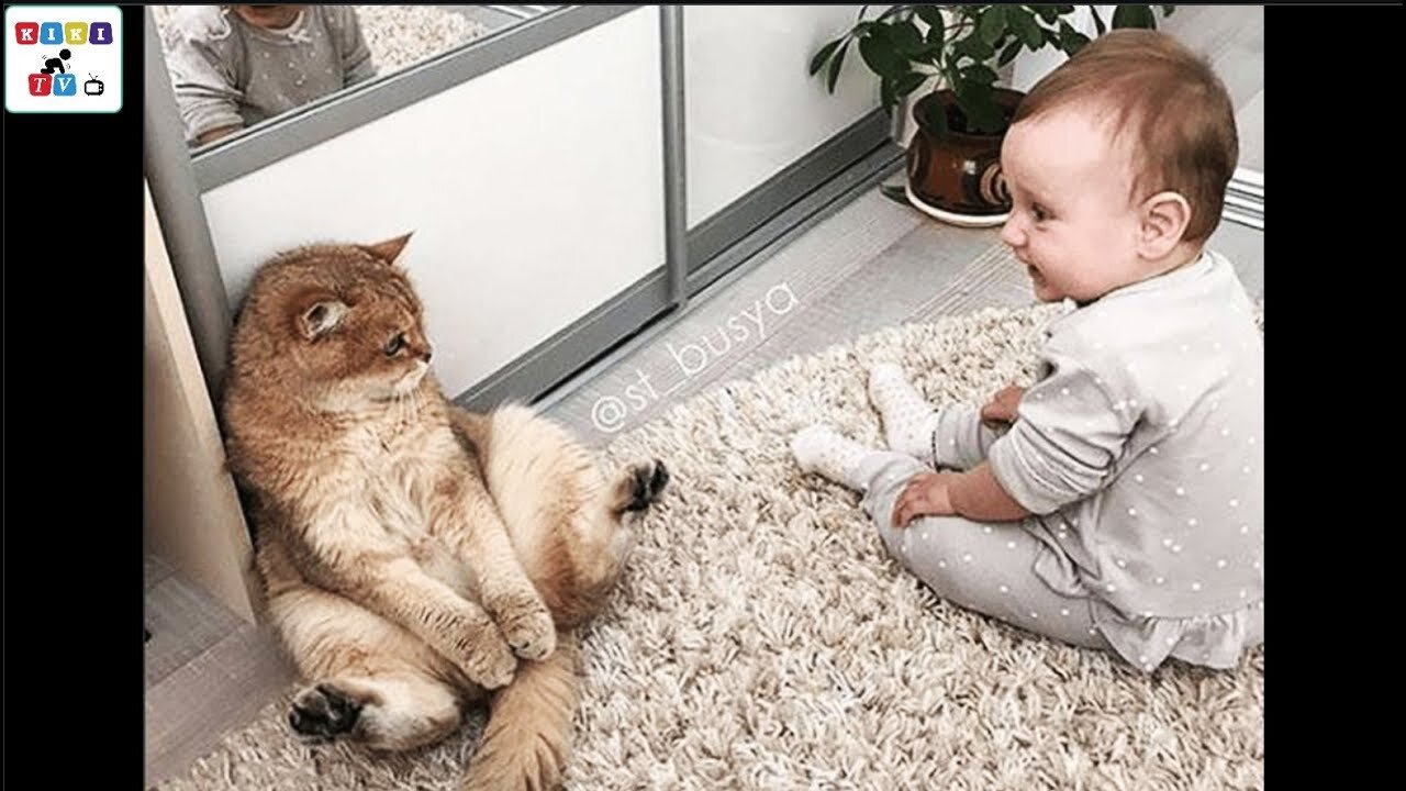 baby play to cat sooo cute