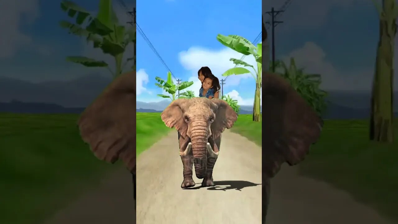 so cute two kids raid elephant